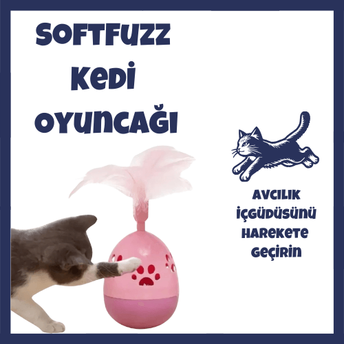 kedi oyuncağı