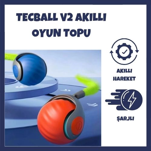 TecBall v2 Otomatik Hareketli Kedi Oyuncağı