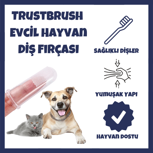 pet diş fırçası