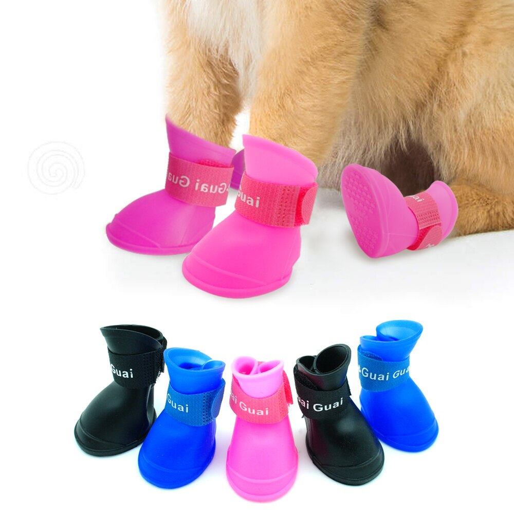 PawShield Kedi Köpek Ayakkabısı