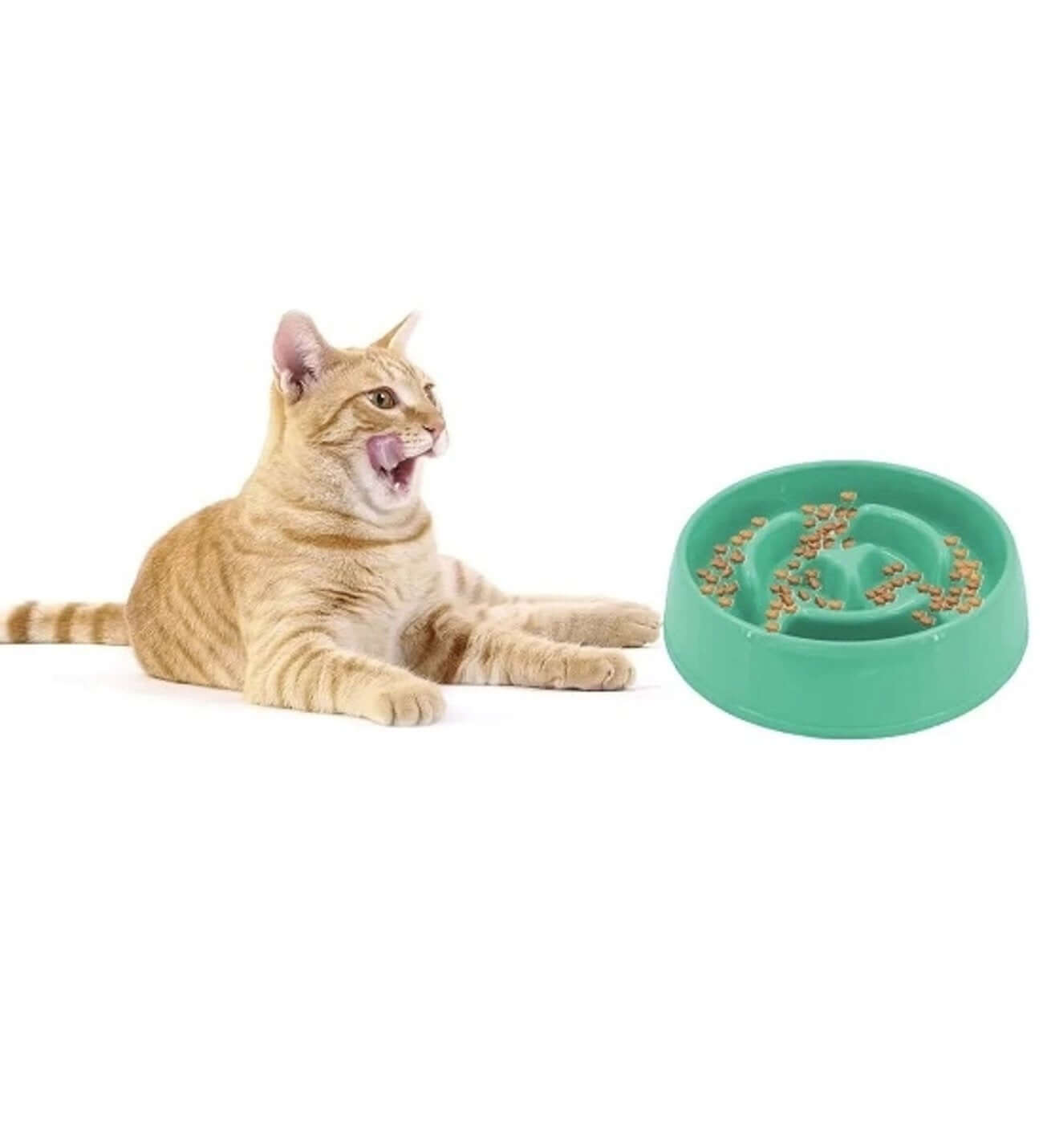 köpek mama kabı